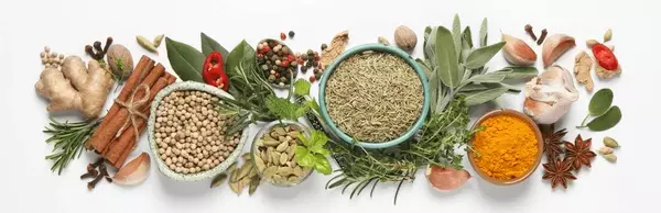 Unlock the Ancient Power: Essential Ayurvedic Herbs for Modern Wellness