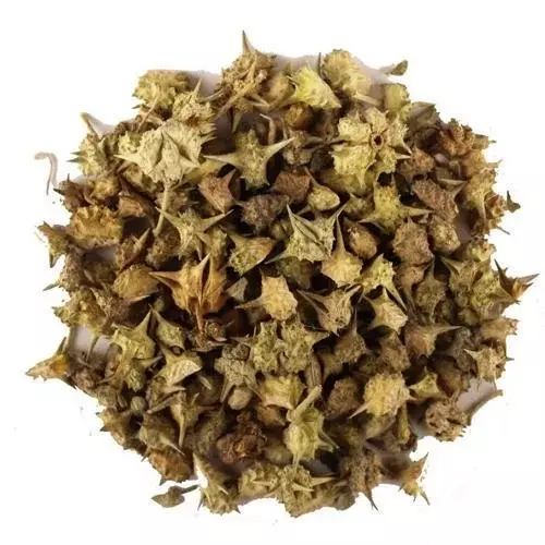 Gokshura (Tribulus Terrestris / Neggina Mullu): Exploring This Potent Ayurvedic Herb