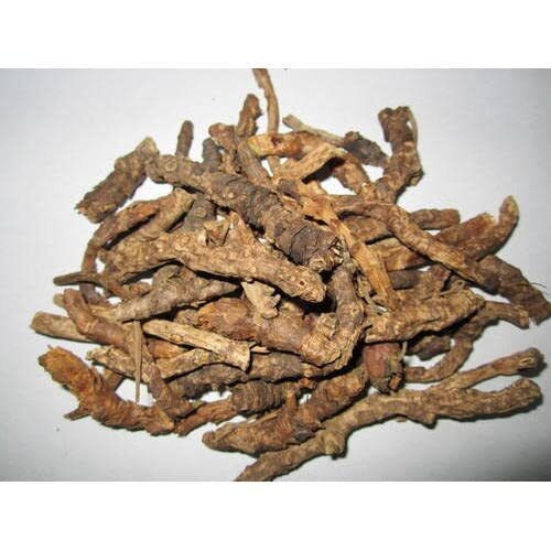 Kataka Rohini Katuka Rohini - Picrorhiza Kurroa